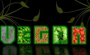 vegan word made of vegetables on a dark background