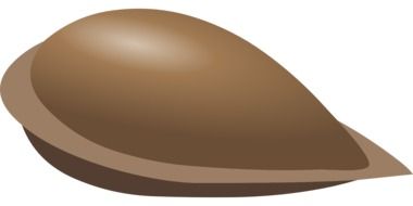 chocolate egg drawing