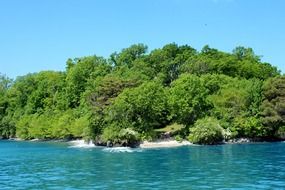 green island with the trees in the blue water