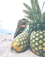 pineapples on a beach