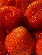 Strawberry is a red berry