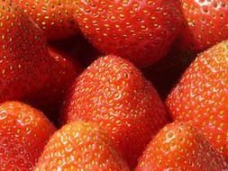 Strawberry is the sweet red berry