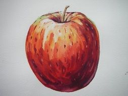 watercolor drawing of an apple