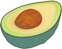 cut avocado, illustration