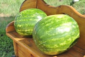 two ripe watermelons on bench