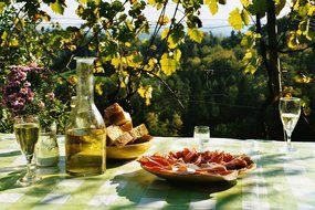 Plate with a snack near the bottle with wine on the table