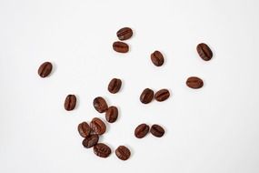 delicious coffee beans