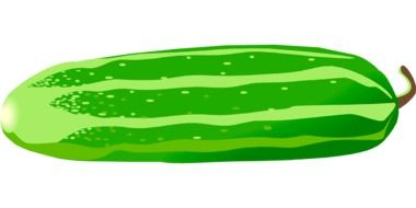 isolated cucumber
