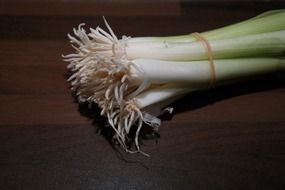 winter onion root