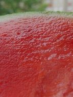 red watermelon flesh