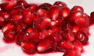 dainty pomegranate