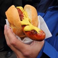 Hot dog in the hand of man