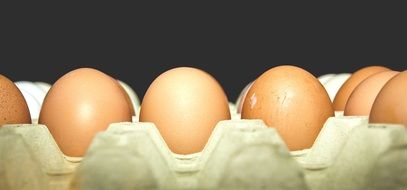 eggs in a tray