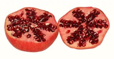 pomegranate punica in the cut