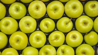 green apples in a box