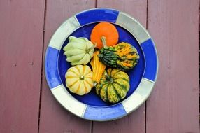 mini pumpkins on a white-blue plate