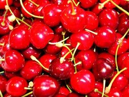 cherry, red tasty berry, background