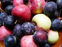 apples and plums on the table