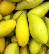 many yellow oblong mangoes