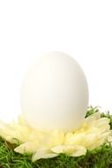 Easter egg on a flower