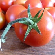 tomatoes red vegetables