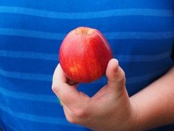 red apple fruit in hand close-up