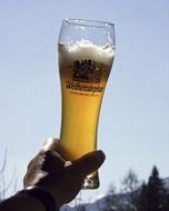 a man holds a large glass of beer