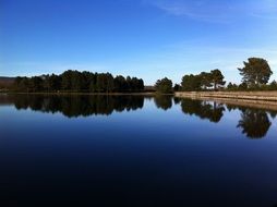 calm quiet forest by the lake landscape
