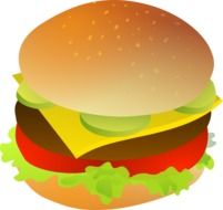 burger, fast food illustration