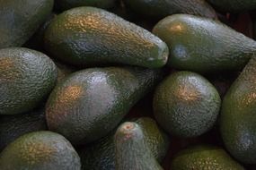 dark green avocados