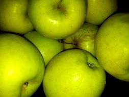 harvest of green apples