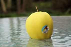 apple on a glass table