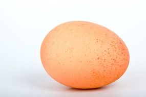 Fresh, raw chicken egg