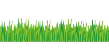 Green grass meadow drawing on white background