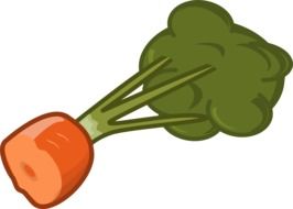 drawing of a slice of carrots with green leaves