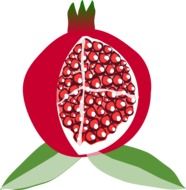 Juicy seeds of pomegranate clipart