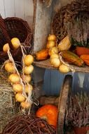 autumn onions basket