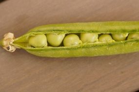 green pea in a pod