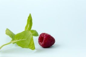 raspberries near mint leaves