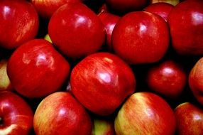 red apples fruit