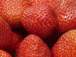 red sweet strawberries closeup