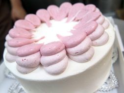 cake with pastel cream