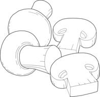 mushrooms in graphic