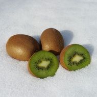 Kiwi on the snow