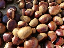 Chestnuts in the market