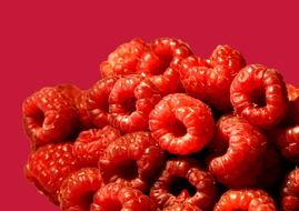 sweet raspberries