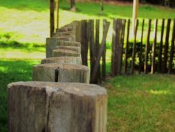 Landscape of old wooden fence on green grass