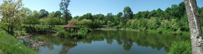 green lush vegetation around the lake