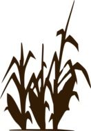 green corn silhouette drawing