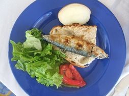 sardines fish plate